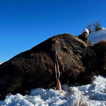 North Dakota Bison Hunt