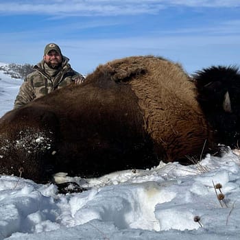 North Dakota Bison hunt